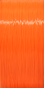 Combo Shock Carp 0,30mm