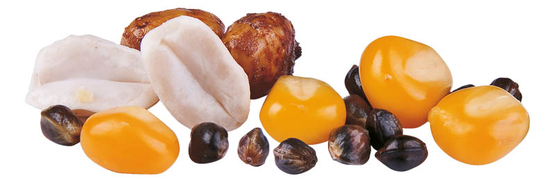 Partikl Tygří ořech 1kg