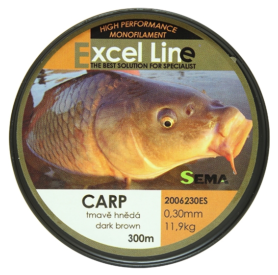 Carp 300m 0,22mm